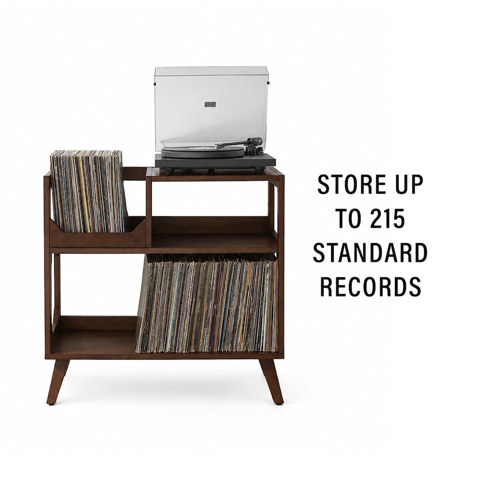 Asheville Medium Record Player Stand With Vinyl Storage Brown
