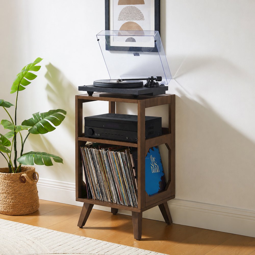 Asheville Small Record Player Stand With Vinyl Storage Brown