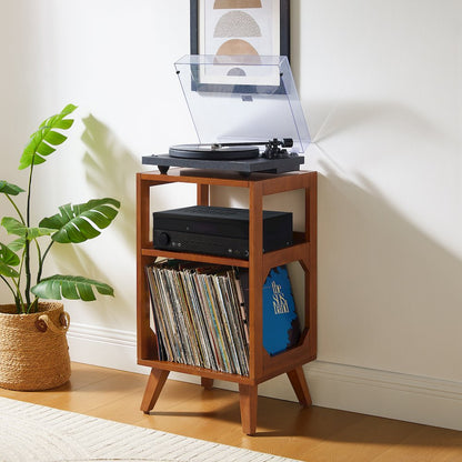 Asheville Small Record Player Stand With Vinyl Storage