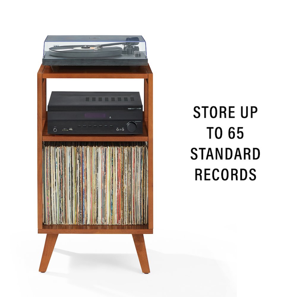 Asheville Small Record Player Stand With Vinyl Storage