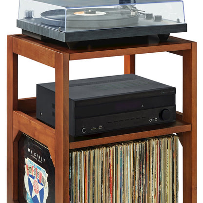 Asheville Small Record Player Stand With Vinyl Storage