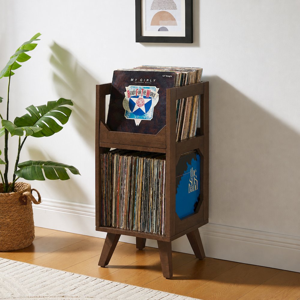 Asheville Small Vinyl Record Storage Stand Brown