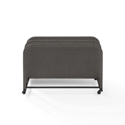 Palm Harbor Wicker Outdoor Storage Pool Caddy
