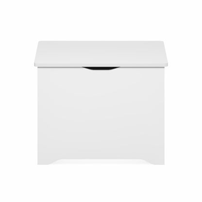BASIC Storage Chest, Storage Bench with Safety Hinged Soft Closed Lid, White