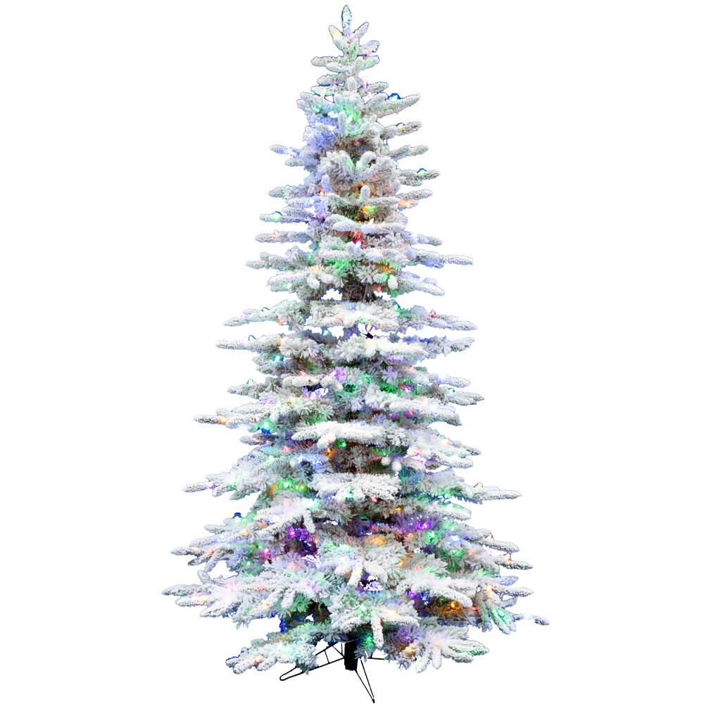 CT 6.5' White Pine, Snowy Tree, 8F Multi LED Lights, EZ Connect