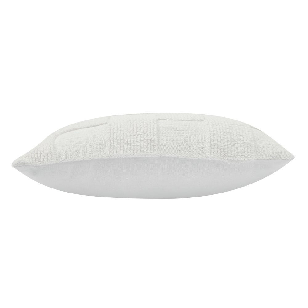 Terrah 20X20 Indoor Pillow, Ivory