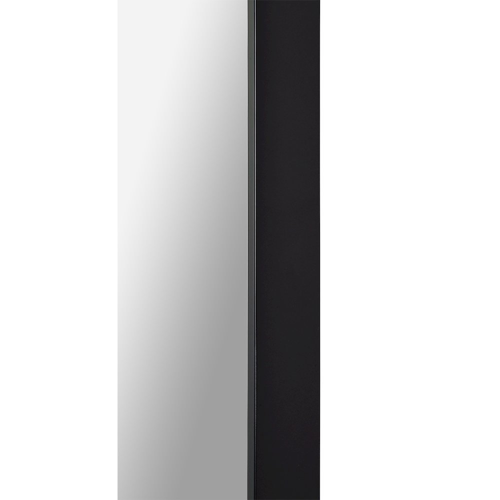 Delacorte 80" Tall Rectangle Wall Mirror, Black