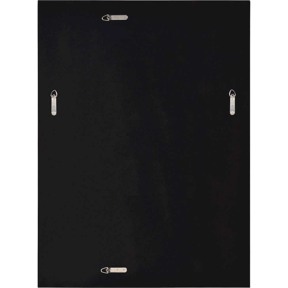 Carmelle 30 in. x 40 in. Rectangular Framed Mirror