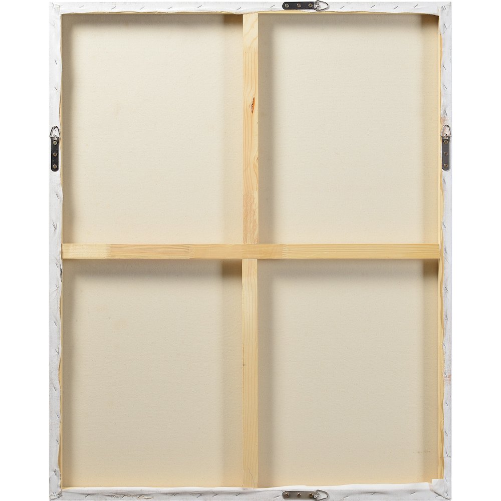 Skylab Rectangular Canvas Wall Art