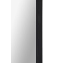 Ammar 24 x 60 Pill Ractangular Framed Mirror