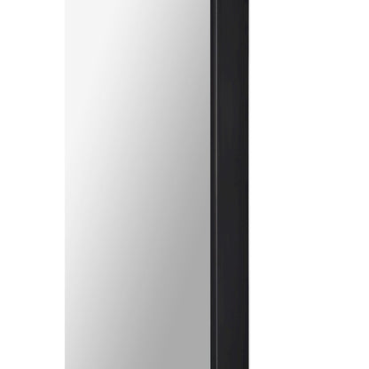 Ammar 24 x 60 Pill Ractangular Framed Mirror