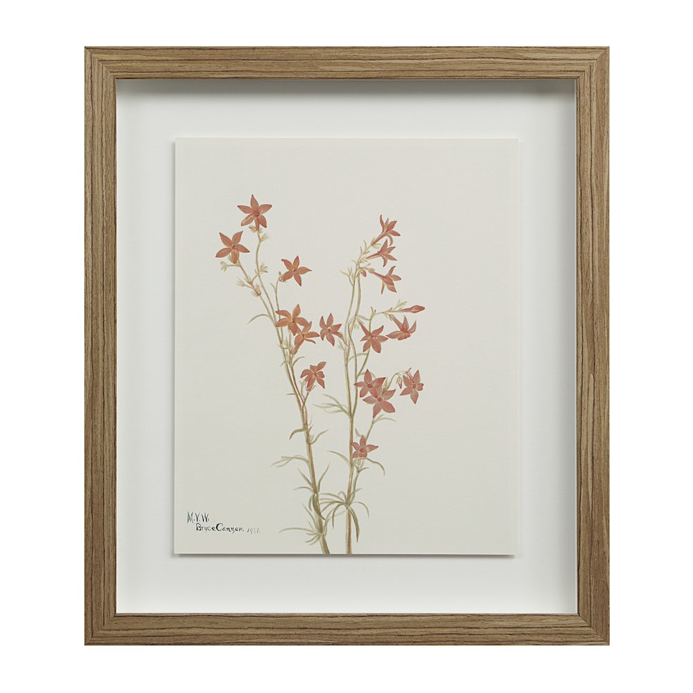 Crema 13.25" Wide Wall Decor, Printed Artwork