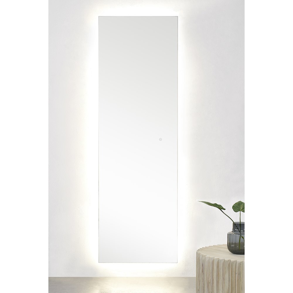 Bexley 22 x 68 Rectangular Unframed Mirror