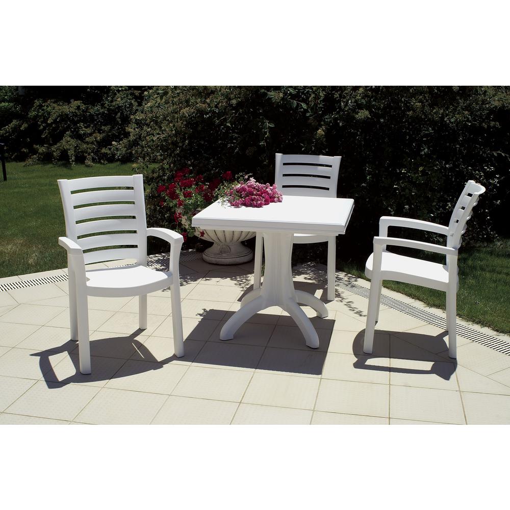 Dining Arm Chair, Set of 2, White, Belen Kox