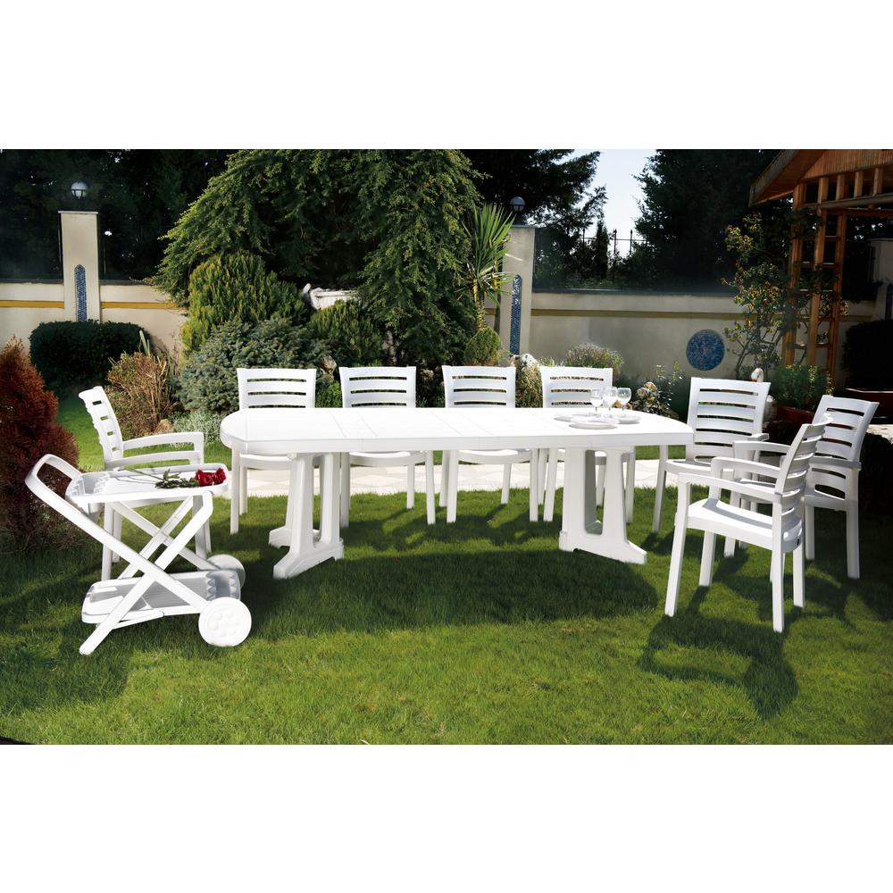 Dining Arm Chair, Set of 2, White, Belen Kox