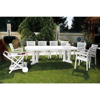 Dining Arm Chair, Set of 2, White, Belen Kox