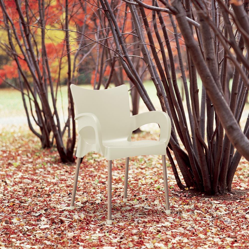 Romeo Resin Dining Arm Chair Beige, Set of 2