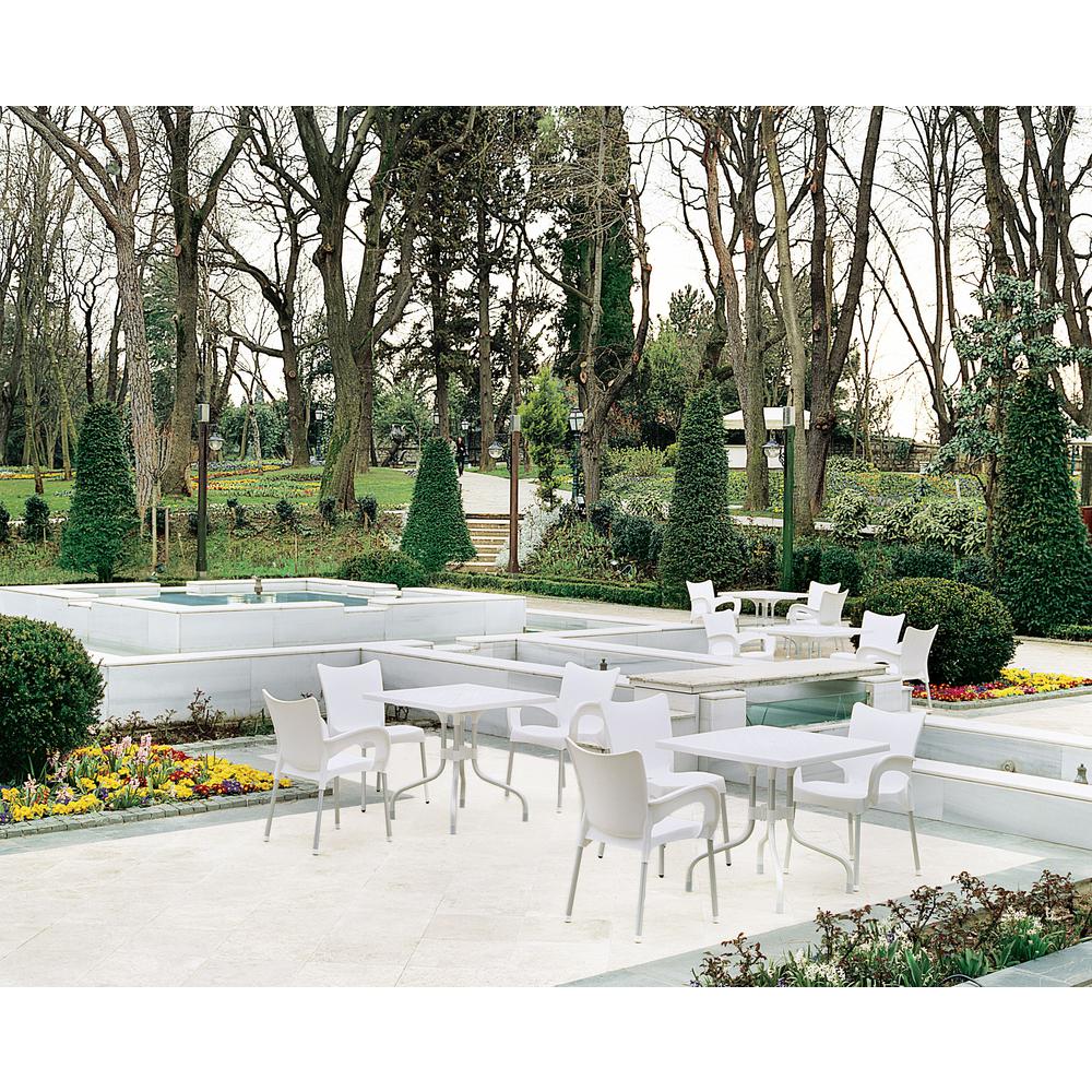 Romeo Resin Dining Arm Chair White, Set of 2