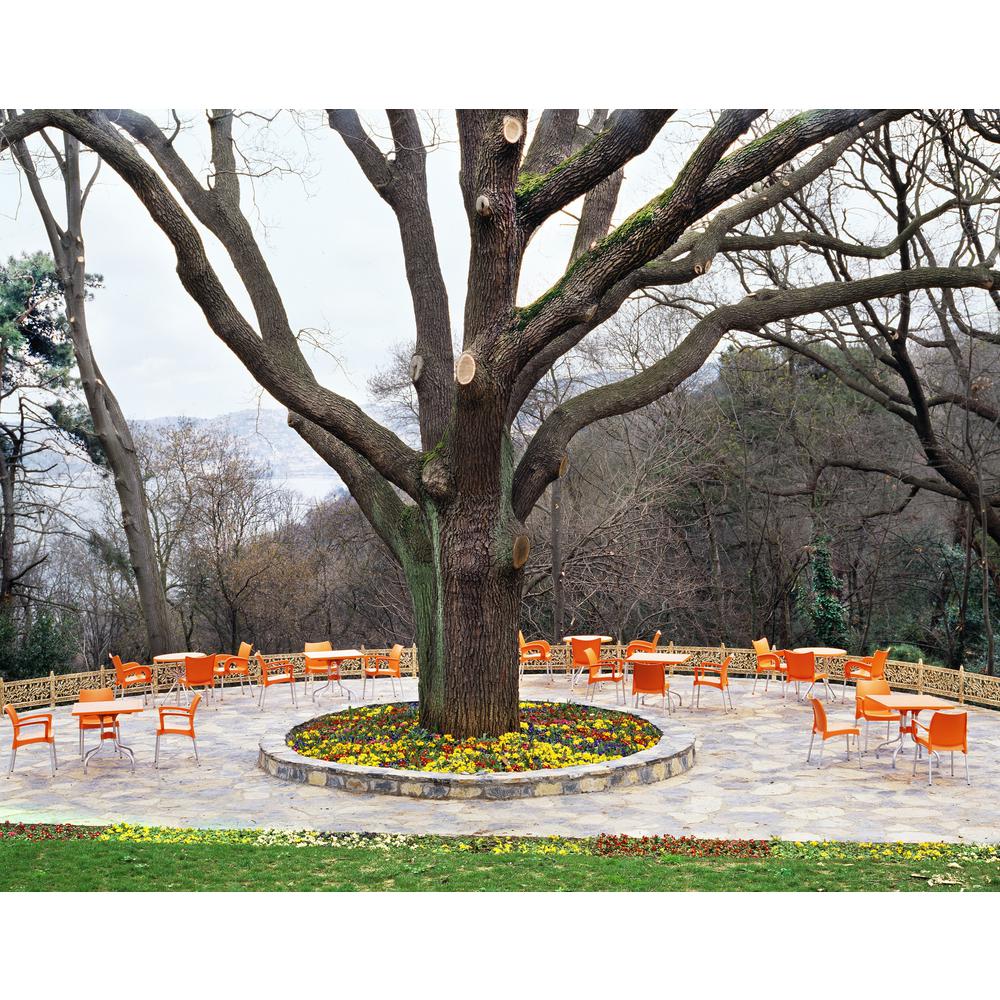 Dolce Resin Outdoor Arm Chair Orange, Set of 2