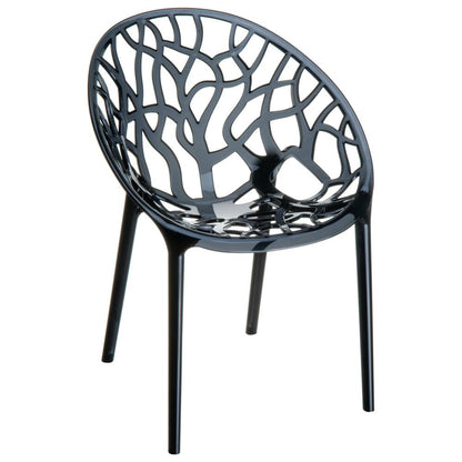 Crystal Polycarbonate Modern Dining Chair Transparent Black, Set of 2