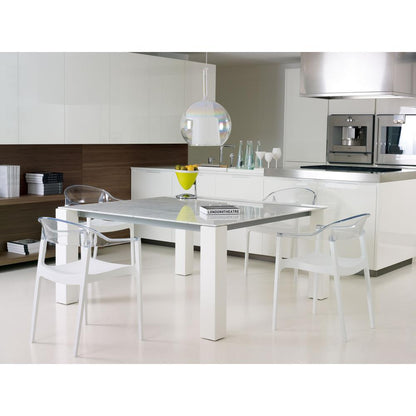 Carmen Modern Dining Chair White Seat Transparent Clear Back, Set of 2