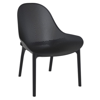 Lounge Chair, Set Of 2, Black, Belen Kox