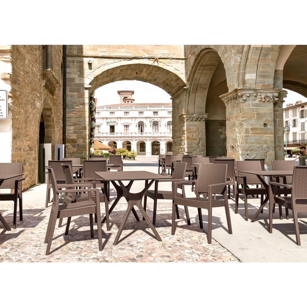 Ibiza Resin Wickerlook Dining Arm Chair Brown, Set of 2