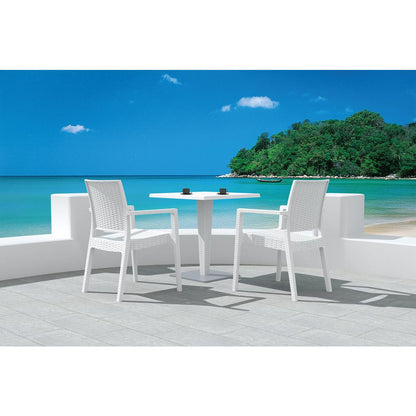 Resin Dining Arm Chair Set, White, Belen Kox