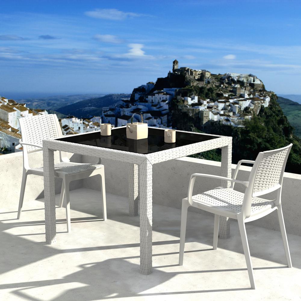 Capri Resin Dining Arm Chair White, Set of 2