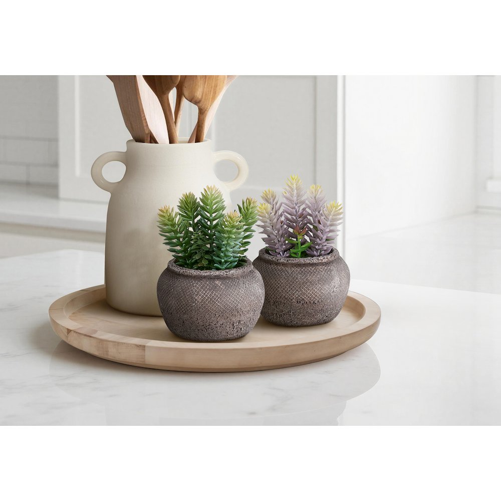 Artificial Plant, Set Of 2, 8"" Tall, Succulent, Table, Brown Cement Pots