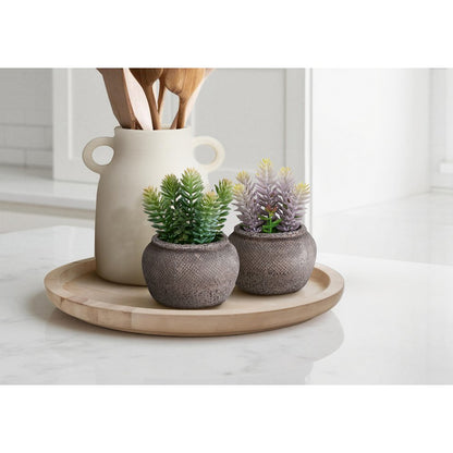 Artificial Plant, Set Of 2, 8"" Tall, Succulent, Table, Brown Cement Pots