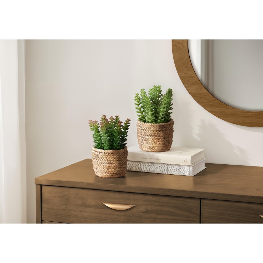 Artificial Plant, Set Of 2, 7"" Tall, Succulent, Table, Brown Cement Pots