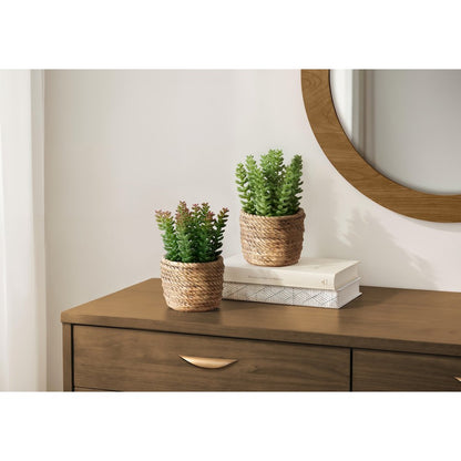 Artificial Plant, Set Of 2, 7"" Tall, Succulent, Table, Brown Cement Pots