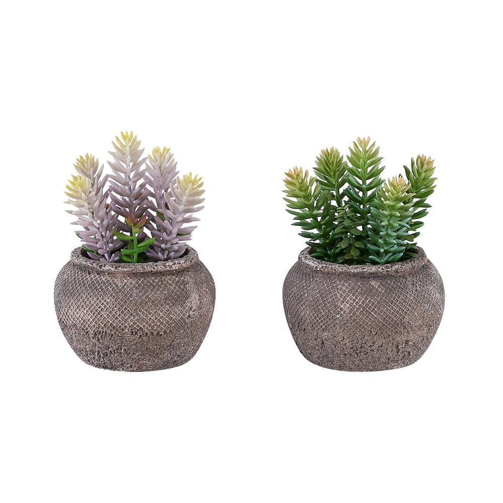 Artificial Plant, Set Of 2, 8"" Tall, Succulent, Table, Brown Cement Pots