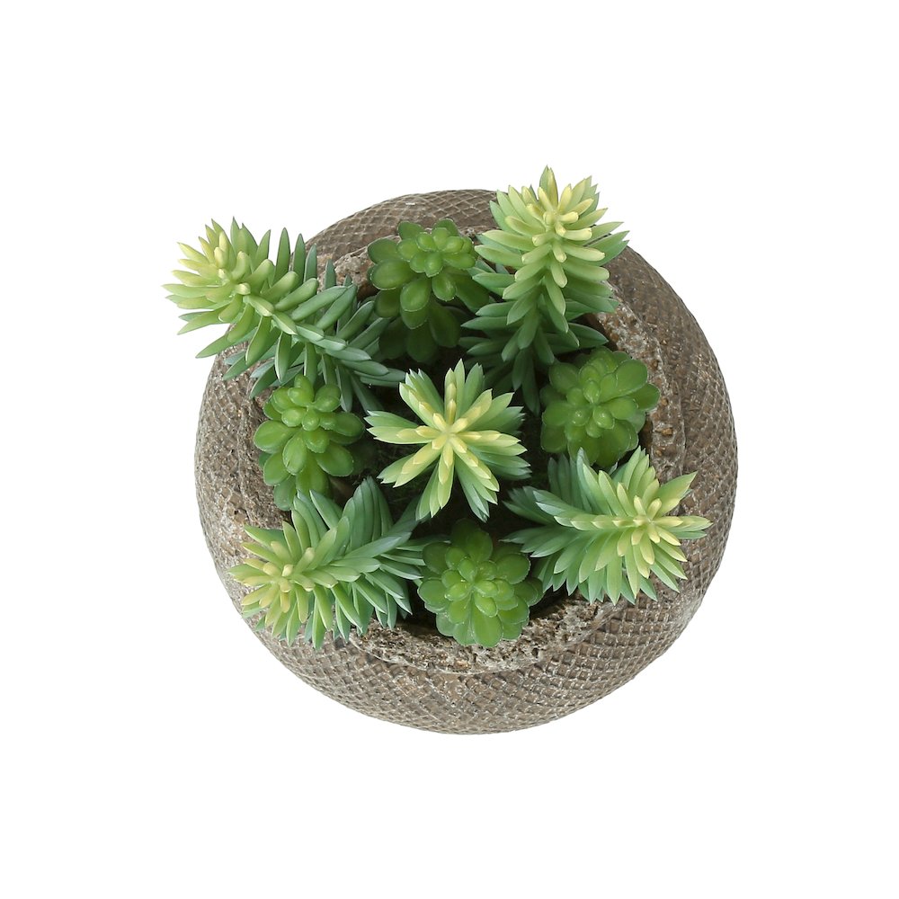 Artificial Plant, Set Of 2, 8"" Tall, Succulent, Table, Brown Cement Pots