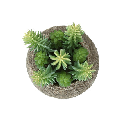 Artificial Plant, Set Of 2, 8"" Tall, Succulent, Table, Brown Cement Pots