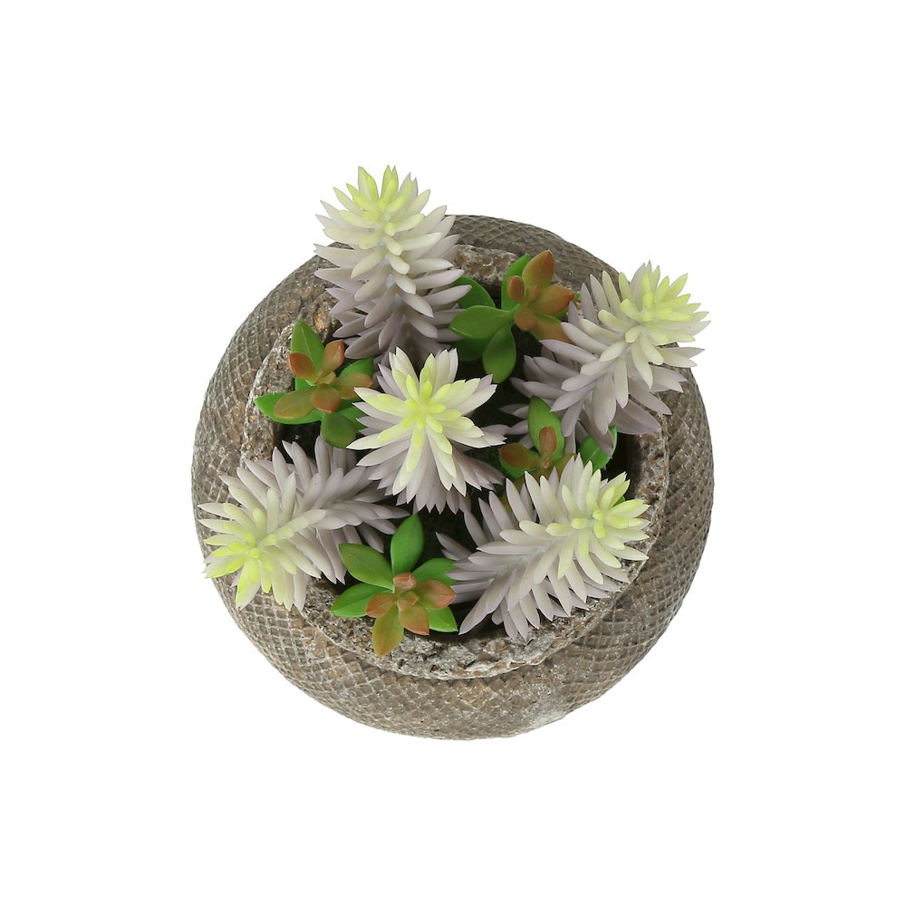 Artificial Plant, Set Of 2, 8"" Tall, Succulent, Table, Brown Cement Pots