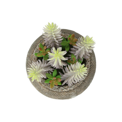 Artificial Plant, Set Of 2, 8"" Tall, Succulent, Table, Brown Cement Pots