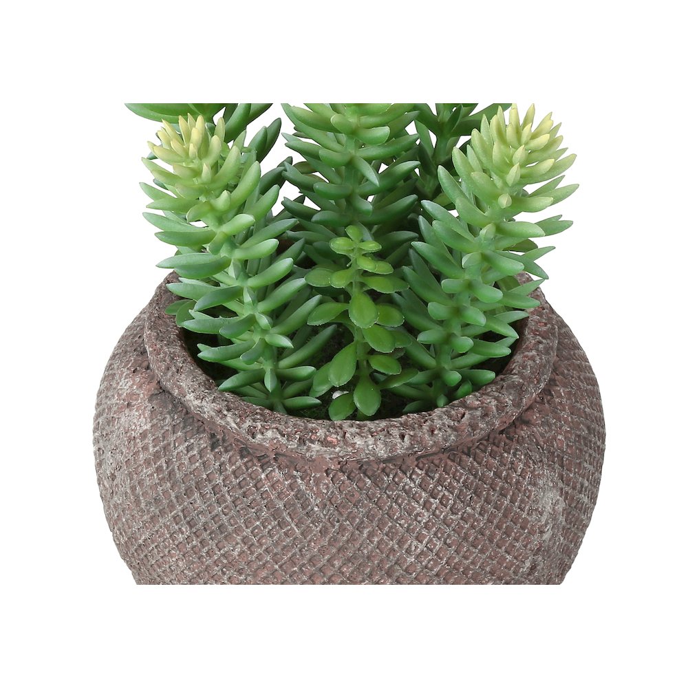 Artificial Plant, Set Of 2, 8"" Tall, Succulent, Table, Brown Cement Pots