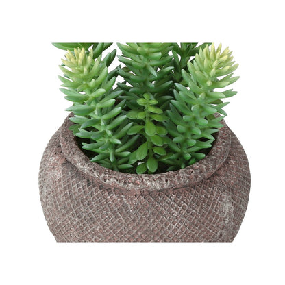 Artificial Plant, Set Of 2, 8"" Tall, Succulent, Table, Brown Cement Pots