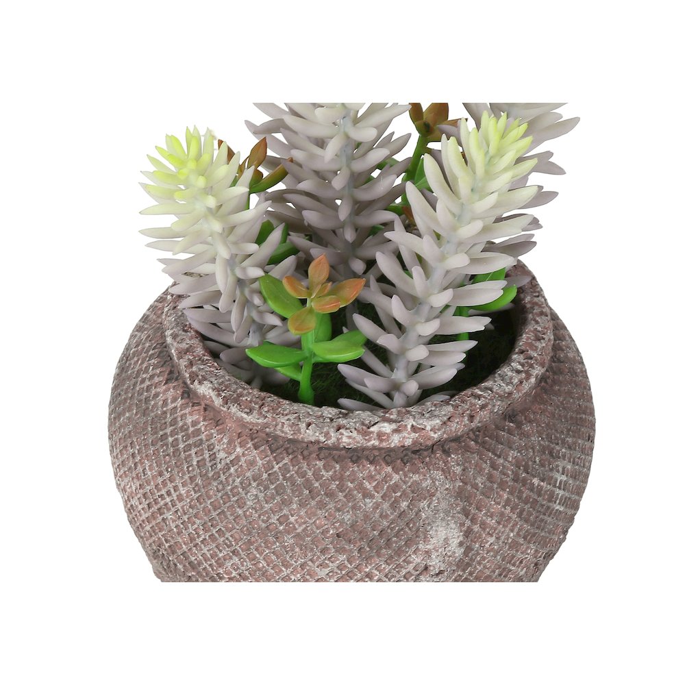 Artificial Plant, Set Of 2, 8"" Tall, Succulent, Table, Brown Cement Pots