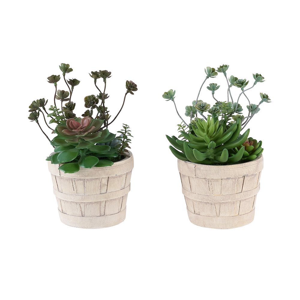 Artificial Plant, Set Of 2, 9"" Tall, Succulent, Table, Beige Cement Pots