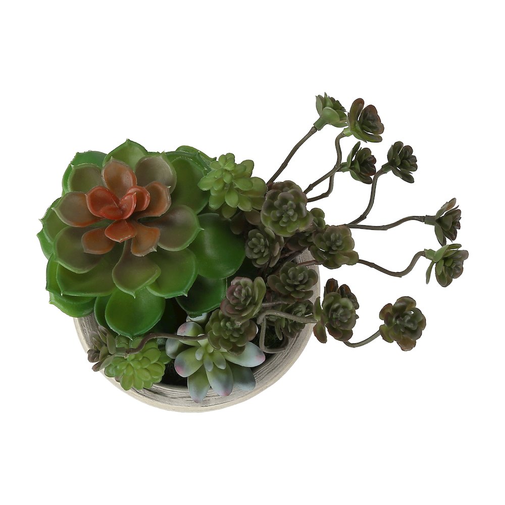 Artificial Plant, Set Of 2, 9"" Tall, Succulent, Table, Beige Cement Pots