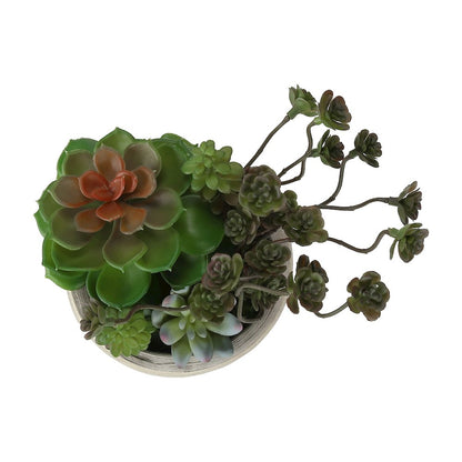 Artificial Plant, Set Of 2, 9"" Tall, Succulent, Table, Beige Cement Pots