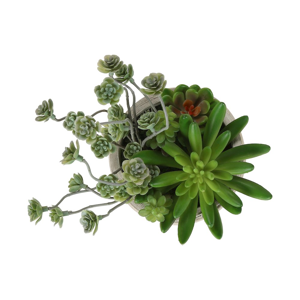 Artificial Plant, Set Of 2, 9"" Tall, Succulent, Table, Beige Cement Pots