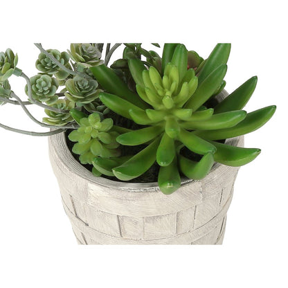 Artificial Plant, Set Of 2, 9"" Tall, Succulent, Table, Beige Cement Pots