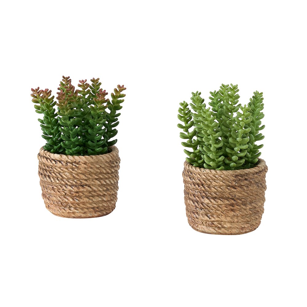 Artificial Plant, Set Of 2, 7"" Tall, Succulent, Table, Brown Cement Pots