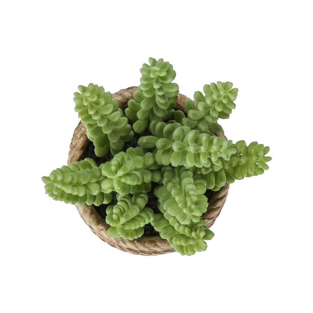 Artificial Plant, Set Of 2, 7"" Tall, Succulent, Table, Brown Cement Pots