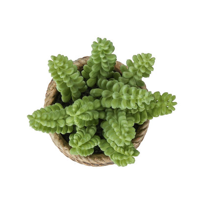 Artificial Plant, Set Of 2, 7"" Tall, Succulent, Table, Brown Cement Pots