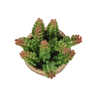 Artificial Plant, Set Of 2, 7"" Tall, Succulent, Table, Brown Cement Pots
